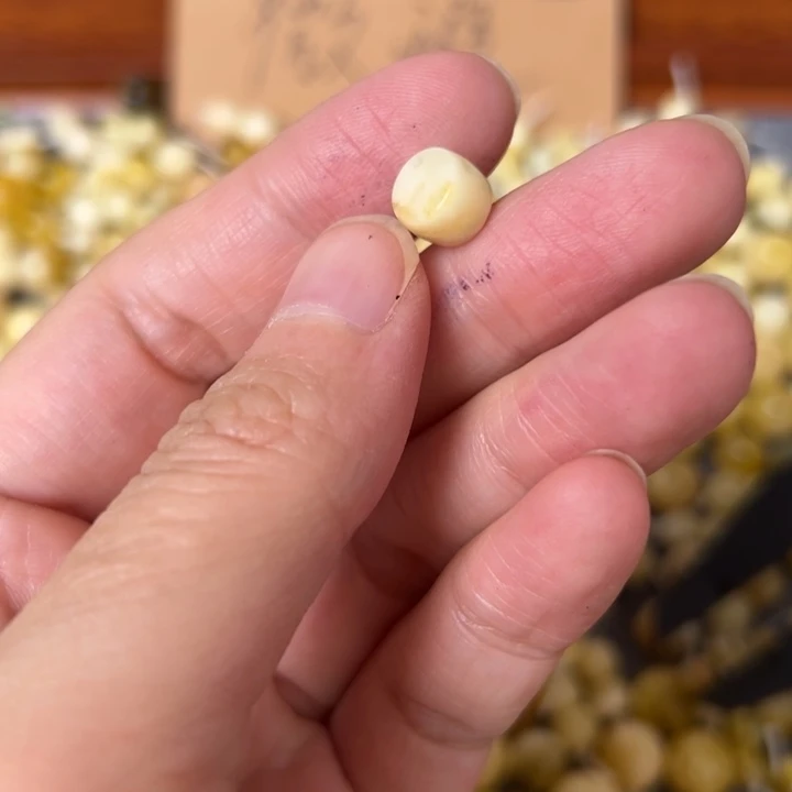 蜜蜡未镶嵌裸石8mm一个