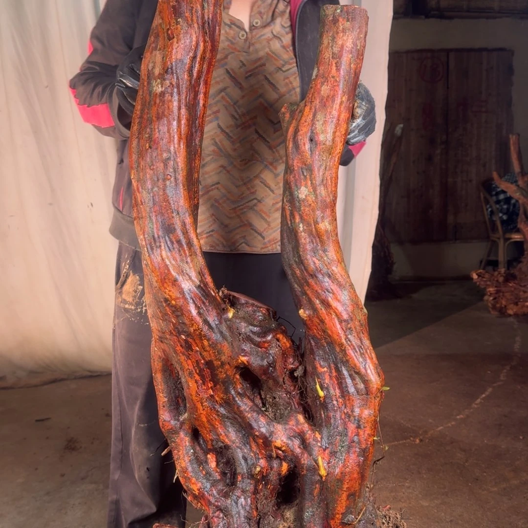 用***97777777777777777777