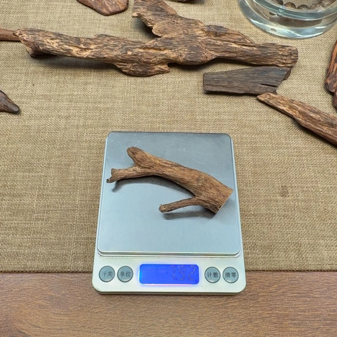 沉香星洲系达拉干料子