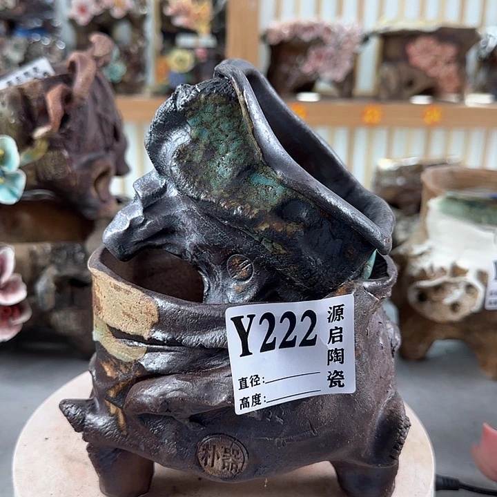 紫砂花盆景德镇陶瓷多肉222