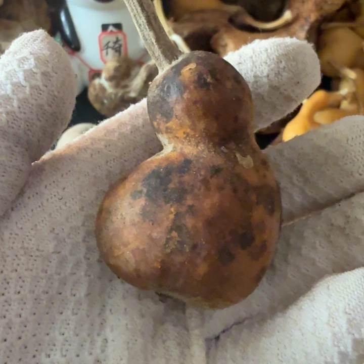 言***迟6666667766666666666