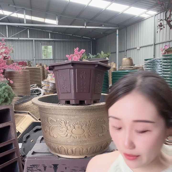 梅花照眼 依然旧风味