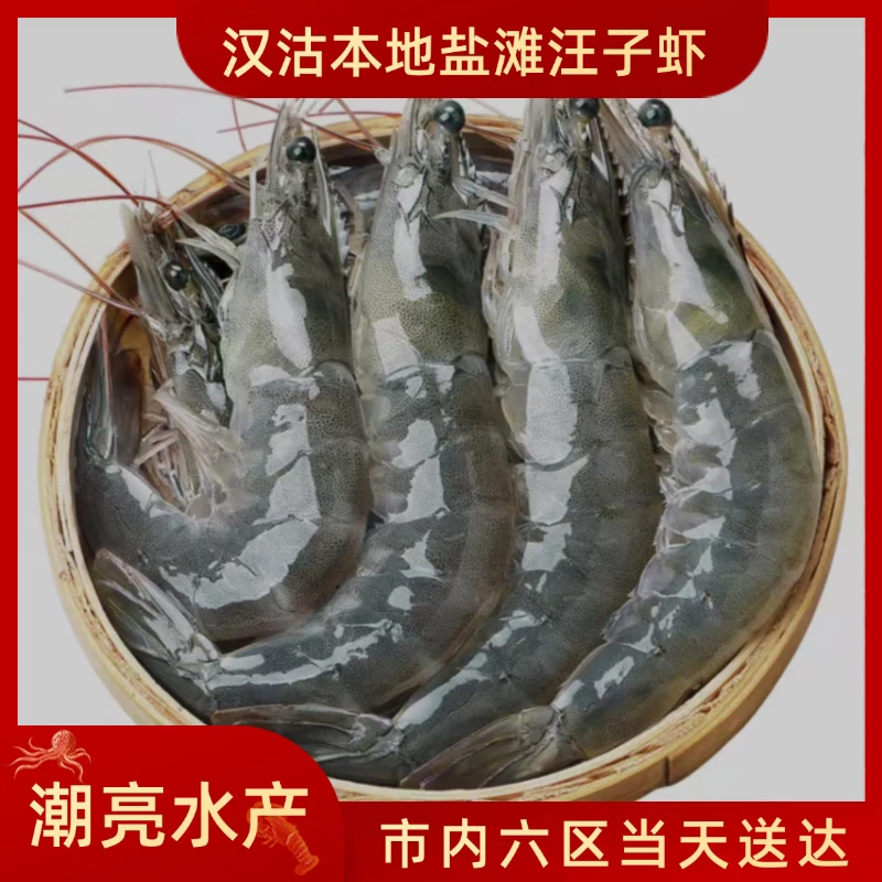 汉沽盐田汪子虾【保鲜不保活】5-10斤，一斤22-24条左右带海鲜酱
