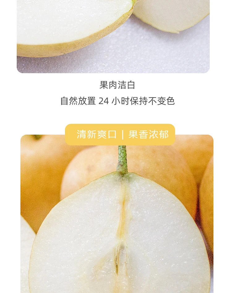 连州水晶梨新鲜水果脆甜多汁细腻无渣整箱广东省包邮