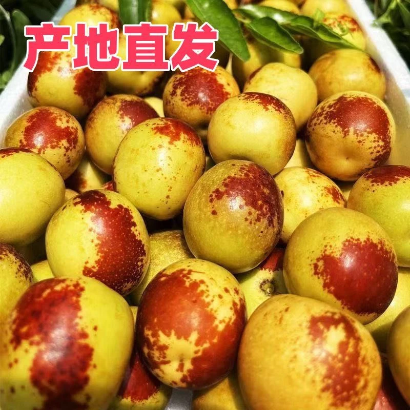 冬枣产地直发新鲜现摘香甜脆爽应季水果