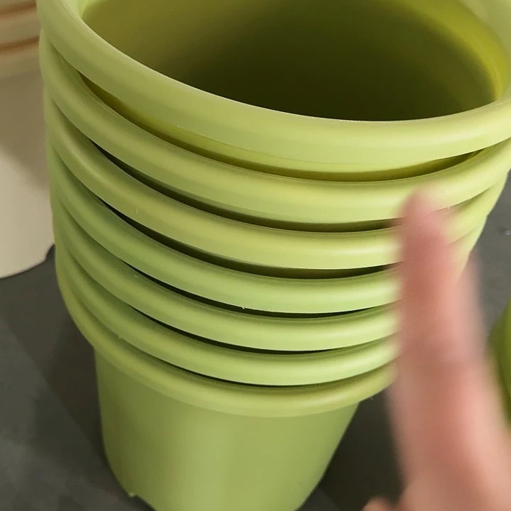 编号2203瑕疵的6号7个