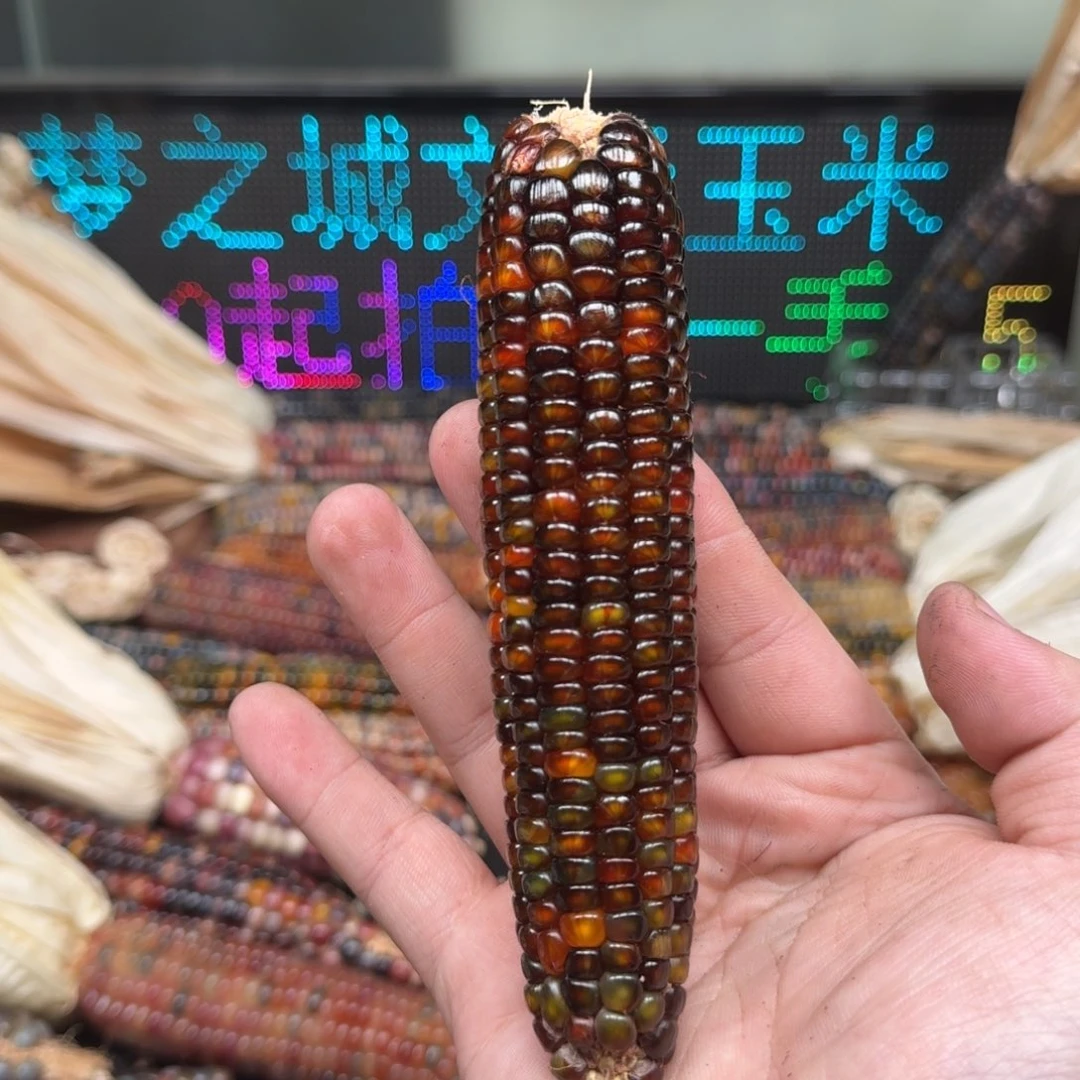 柏香籽/百香籽吊坠夜****时