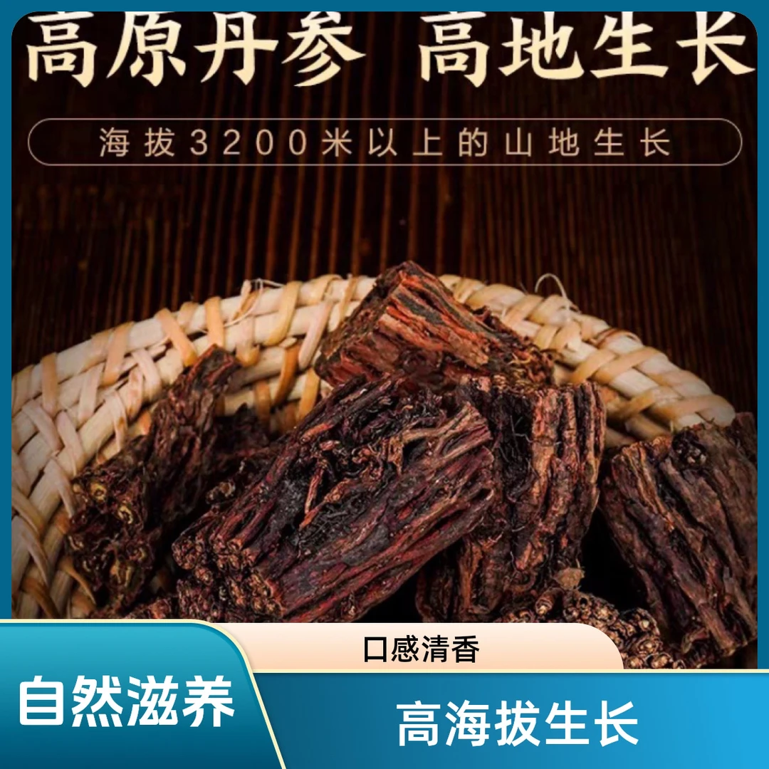 西藏高海拔高山紫丹参