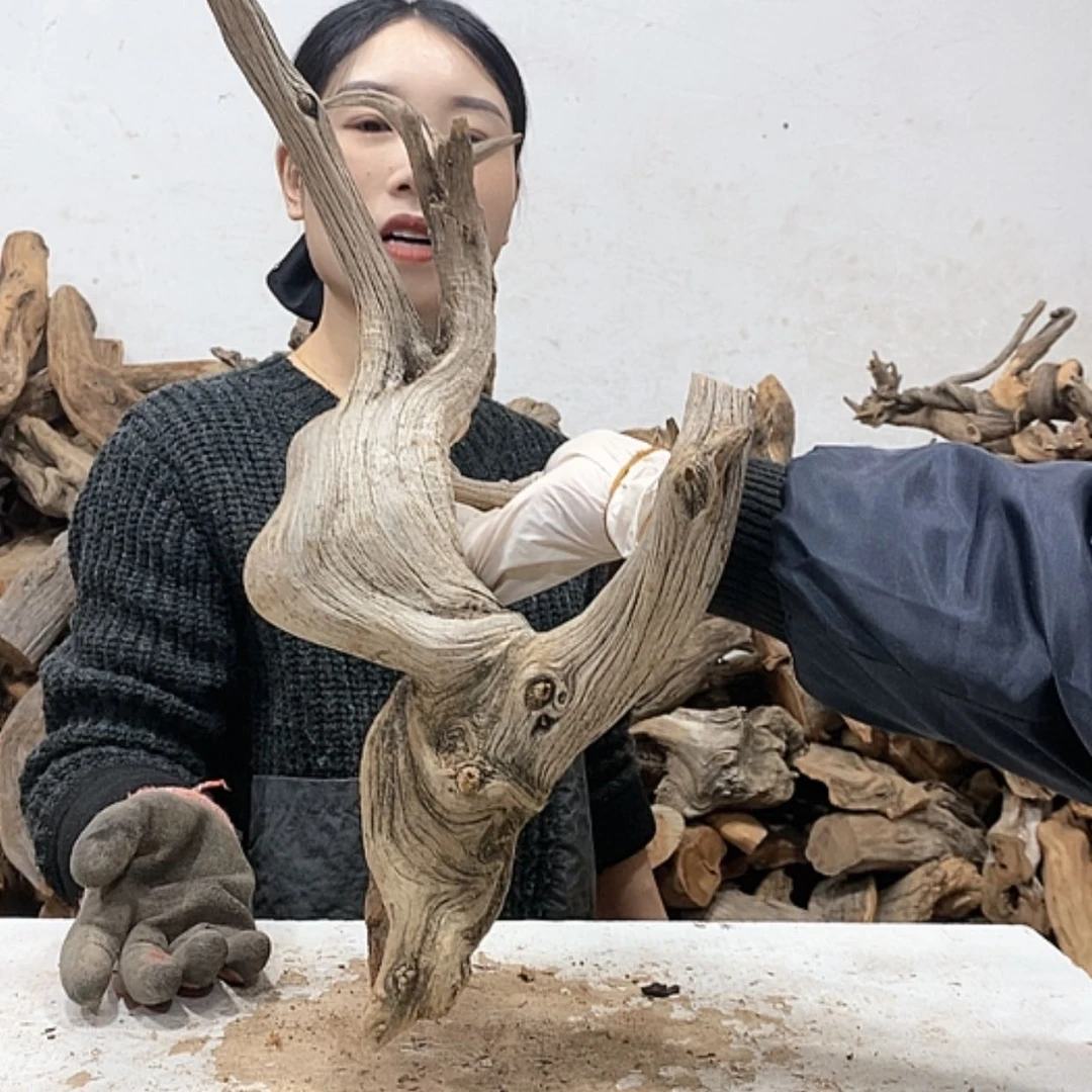 【闪购商品】柏木轩**龙我们都是好孩子