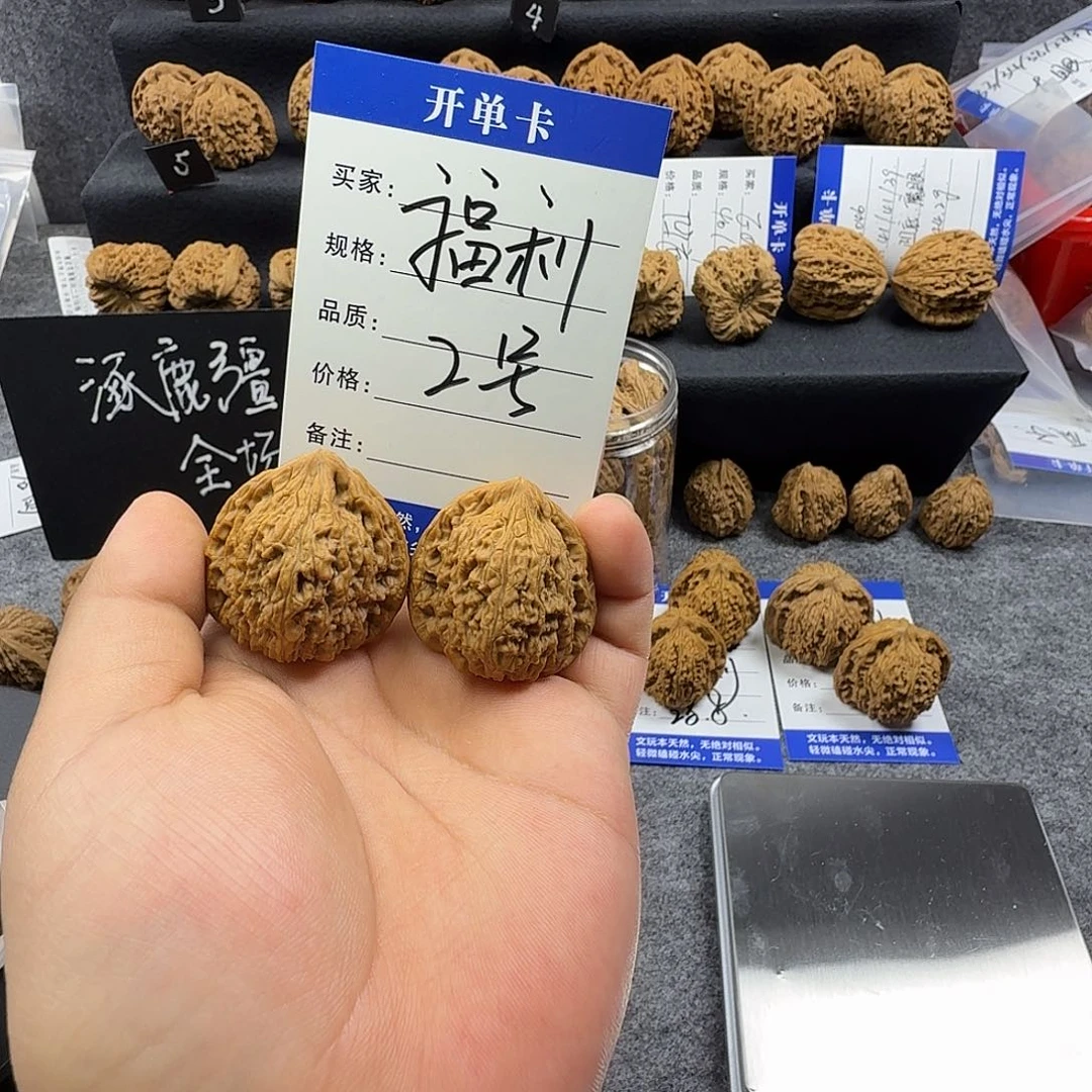 核桃福利2号（随机尺）