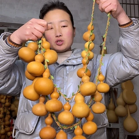 玲*姐天然植物葫芦文玩