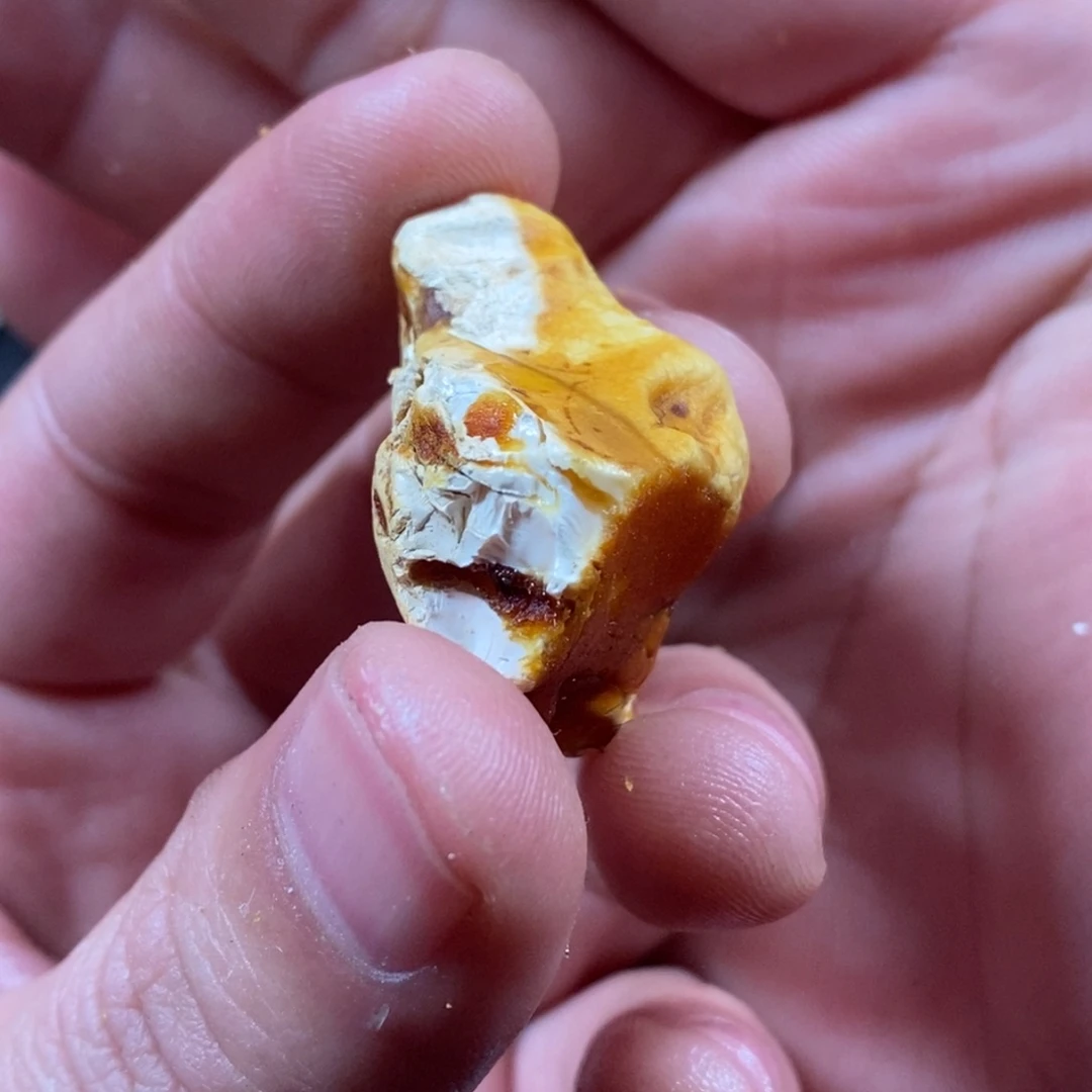 定制琥珀未镶嵌鹏****芳