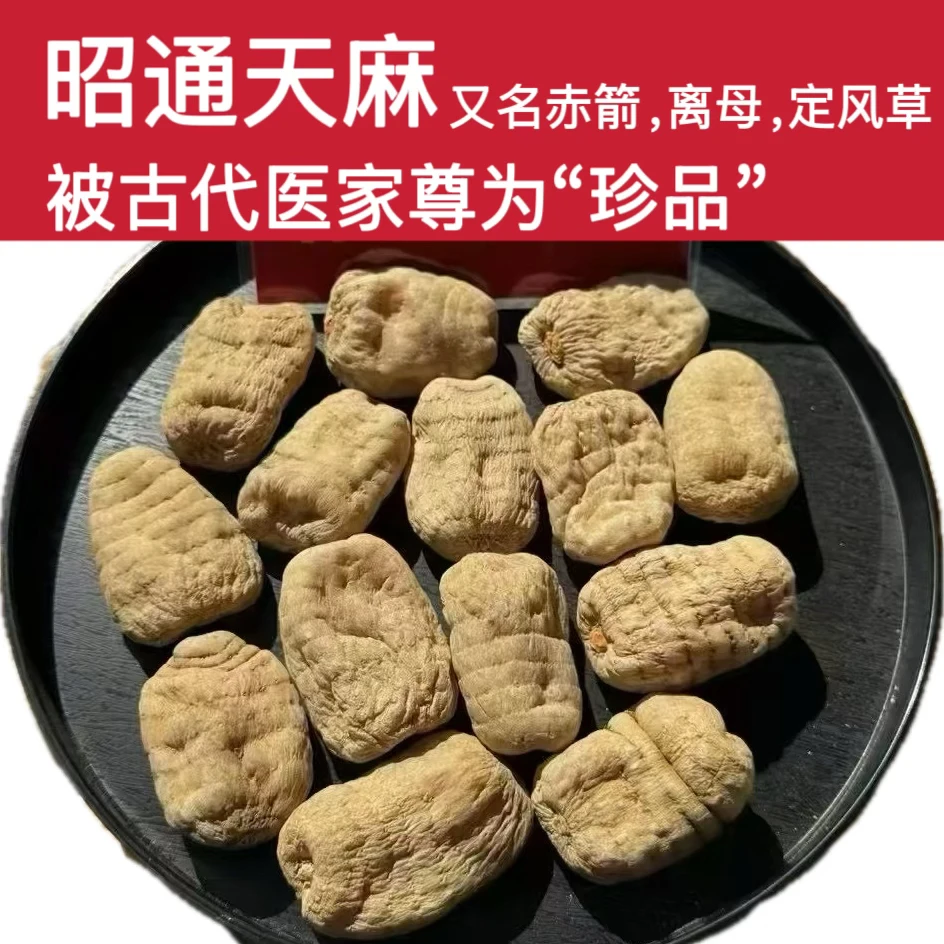 云南昭通小草坝无硫干天麻高海拔生长正宗天麻