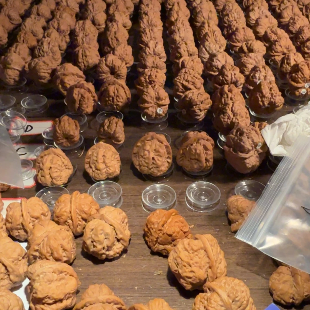 善***智把件文玩核桃蛤蟆的眼睛是真的好看