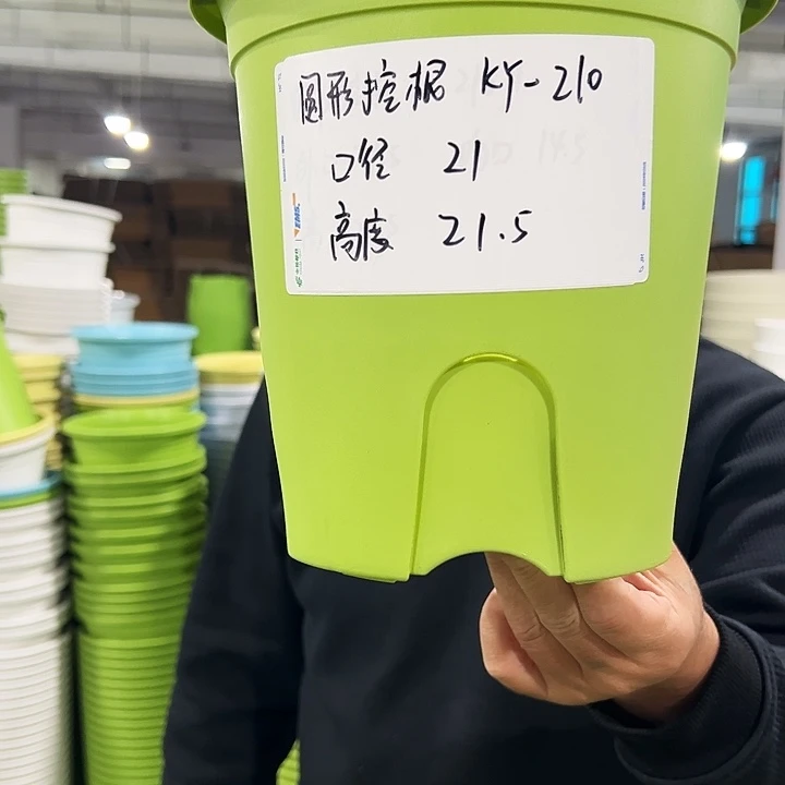 正品圆控口21高21果绿色8个无托