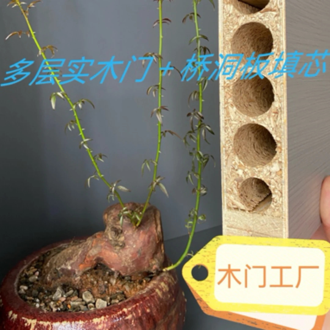 昆明木门工厂选择多层实木