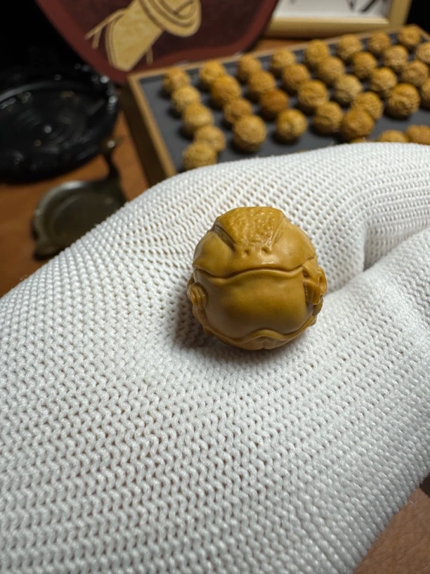 新店福利「烟斗金蟾」16～17mm 正常封口线介意勿拍