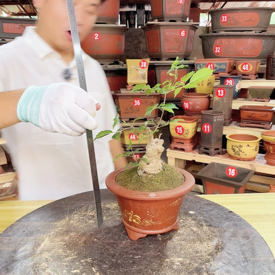 紫砂花盆工厂直发