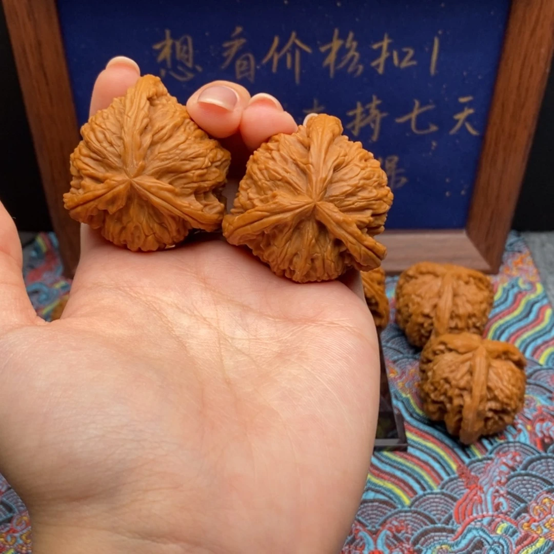 【闪购商品】明***阳白狮