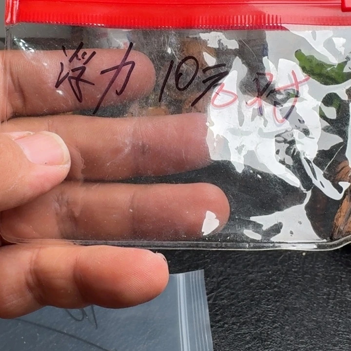 文玩核桃吊坠随机