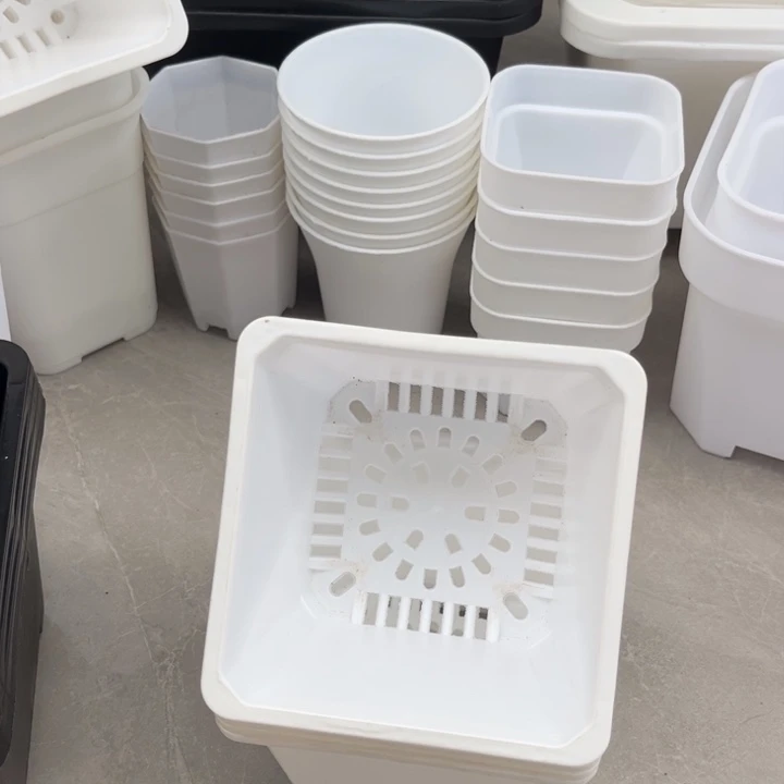 白方口11高8一组20个