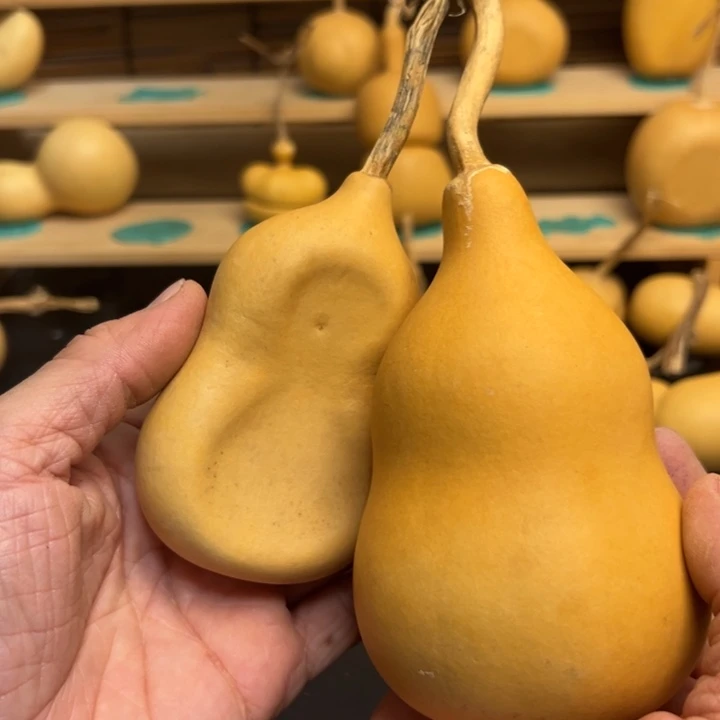 跟****楚葫芦葫芦葫芦葫芦葫芦葫芦