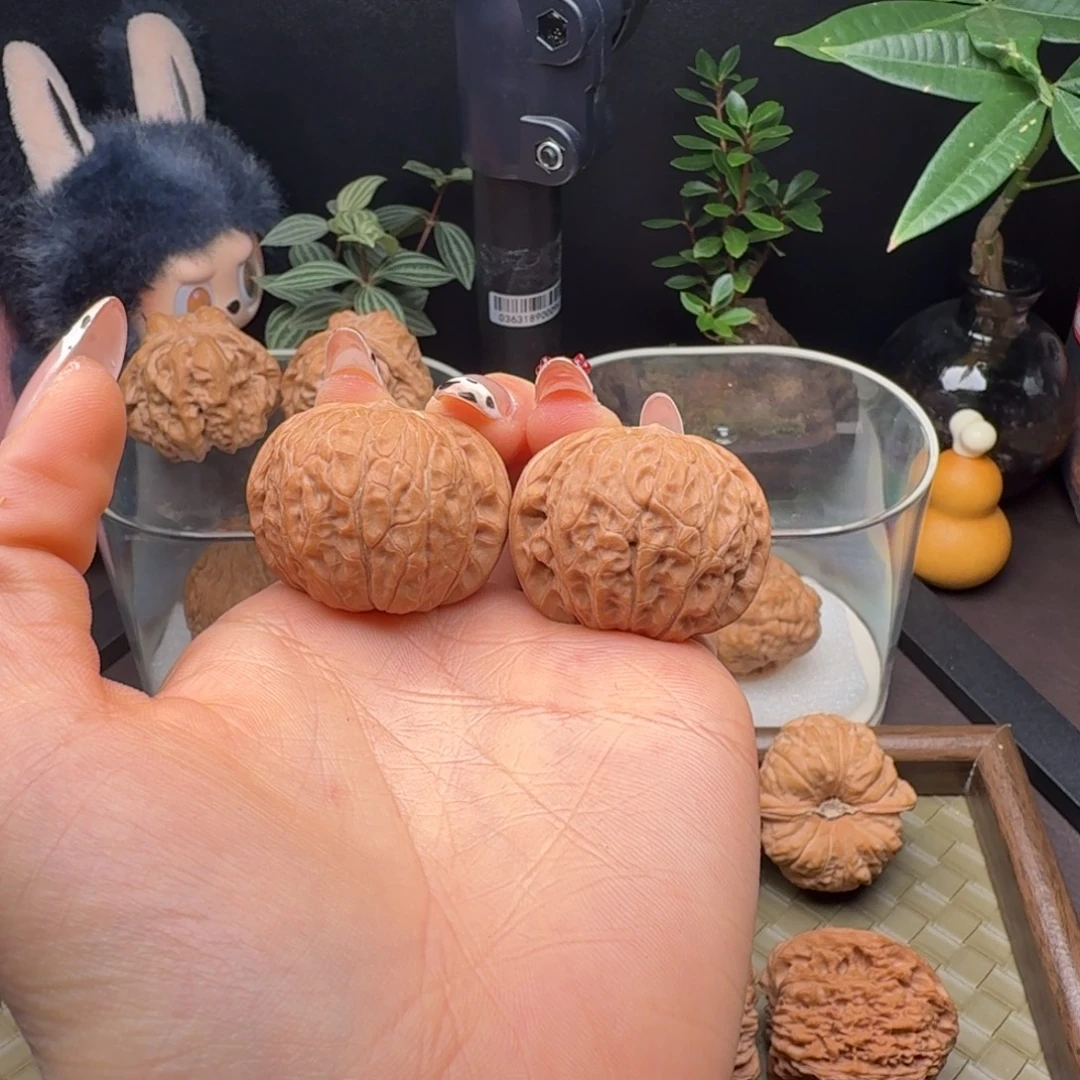 龙脊菩提把件全品乾隆磨36