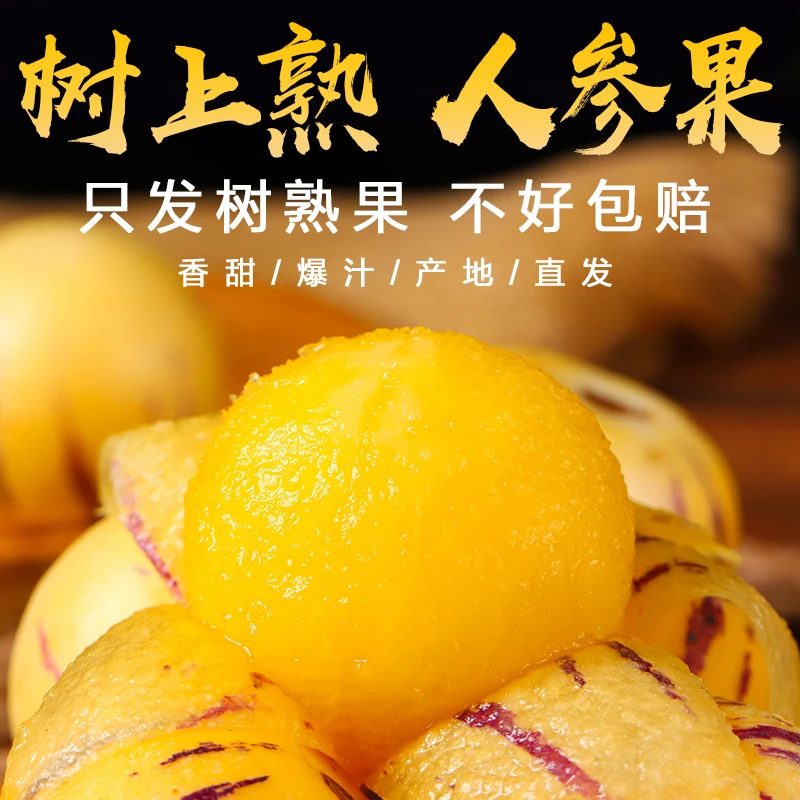 真·树熟人参果 云南石林七彩果清甜应季水果黄肉风化石人生果圆果