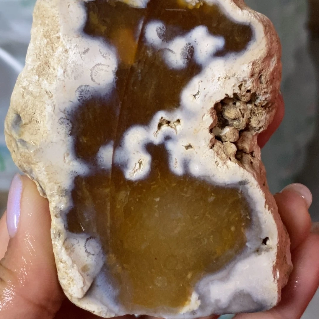 【闪购商品】硅化玉颈饰未镶嵌