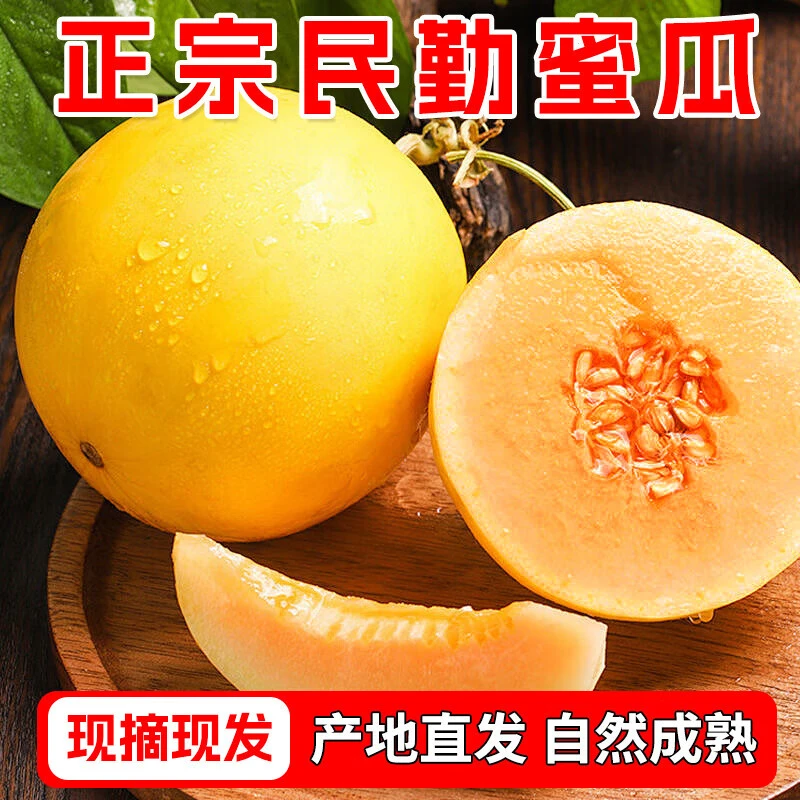 甘肃民勤金红宝蜜瓜当季甜瓜新鲜水果黄河沙漠头茬香瓜黄金蜜瓜