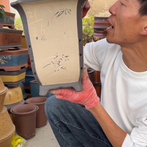 花盆紫砂特价包邮送盒