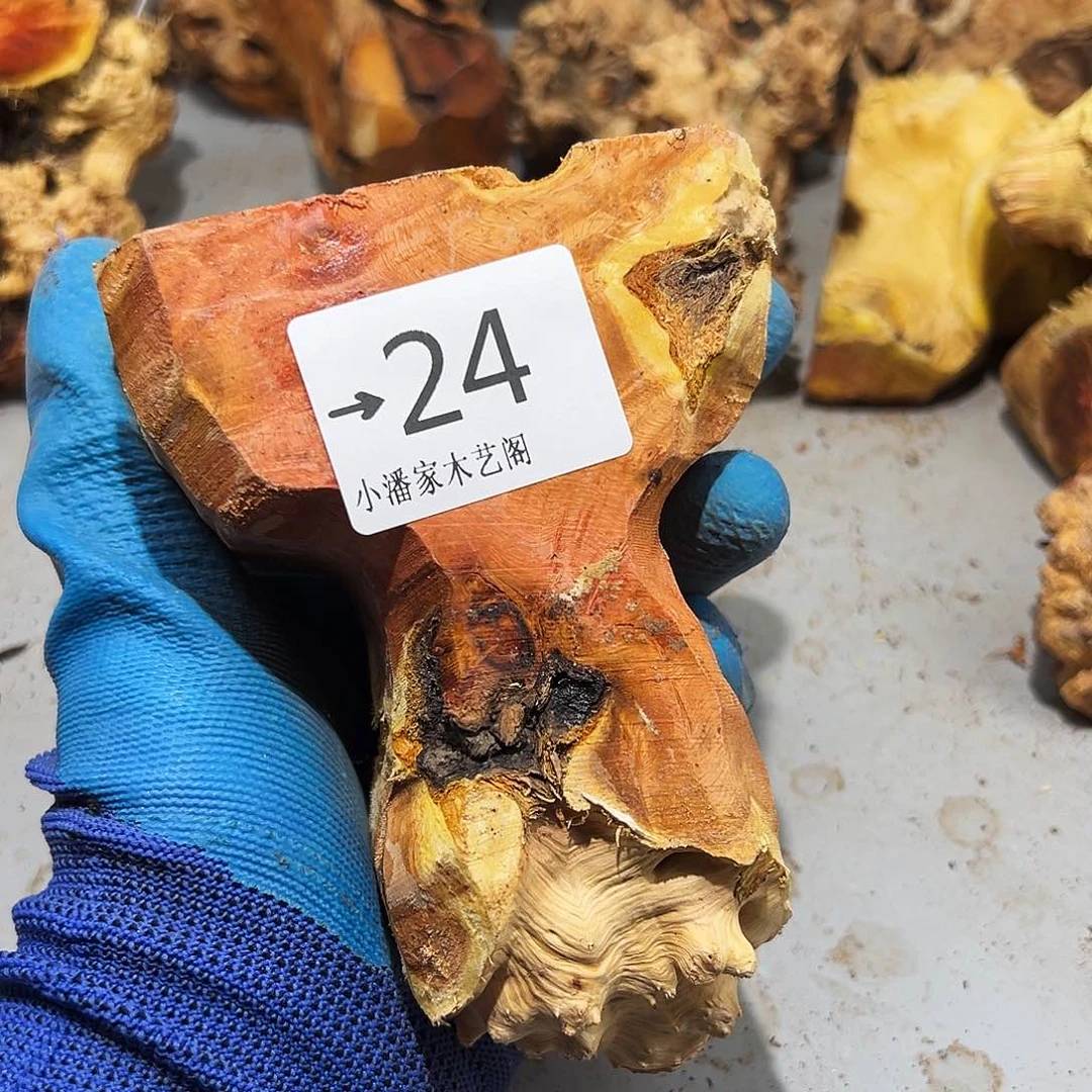 香榧木夏*火琉璃……火琉璃