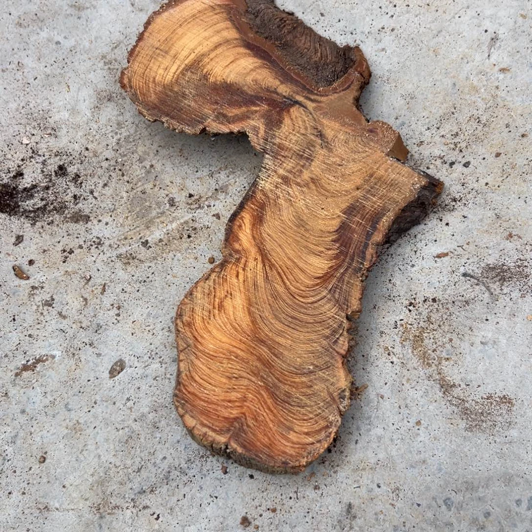 c***m柏木（崖柏）太行陈化料片