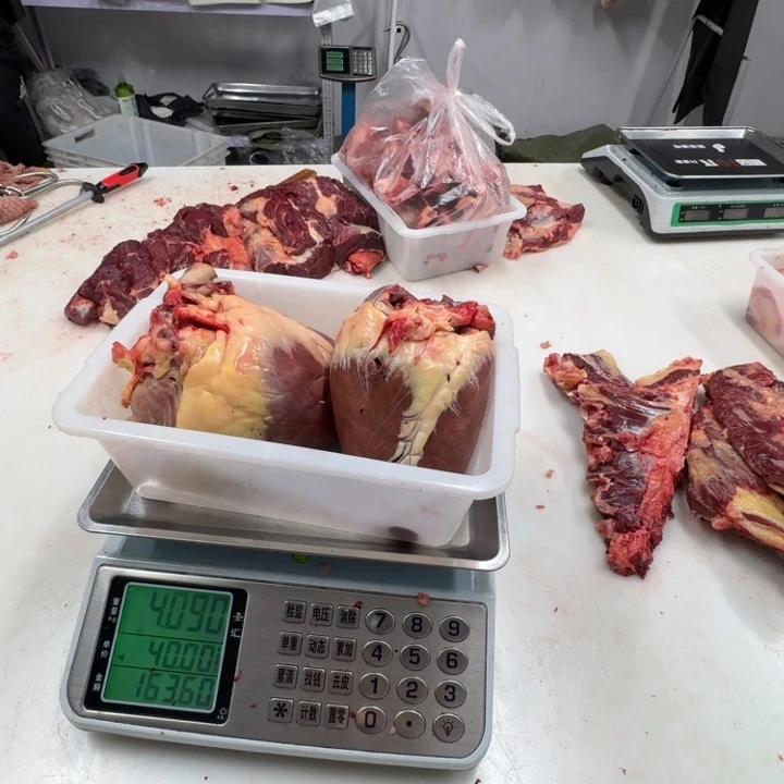 12中国大陆俩马心