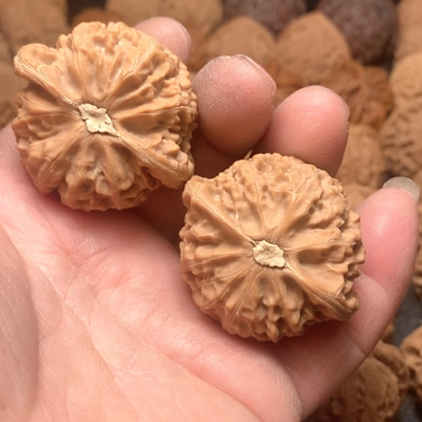 【闪购商品】宫灯狮