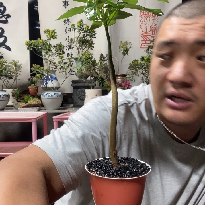 无花朵退款拉黑拉黑42
