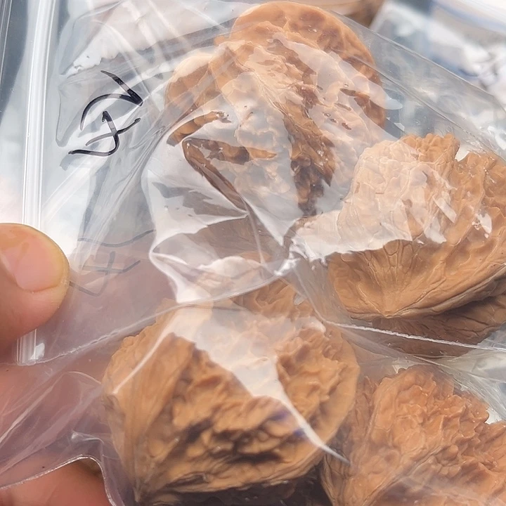 正***苏文玩核桃把件虎头