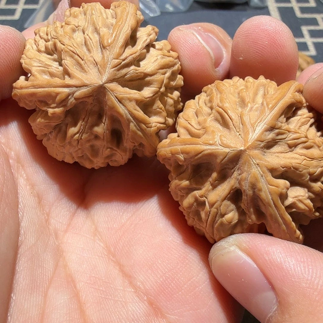文玩核桃把件御龙正奔