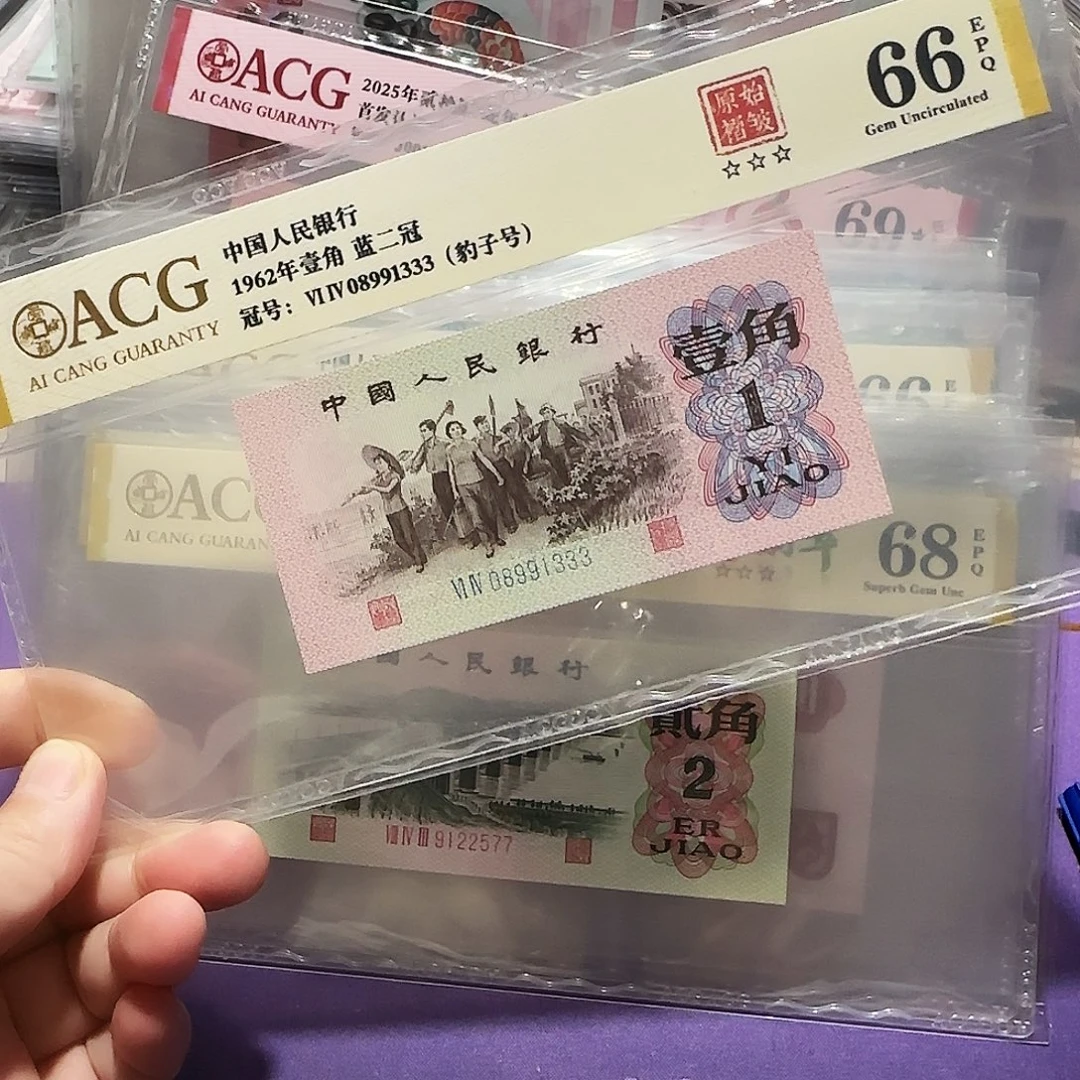纸08991333。。。。褶皱豹子号