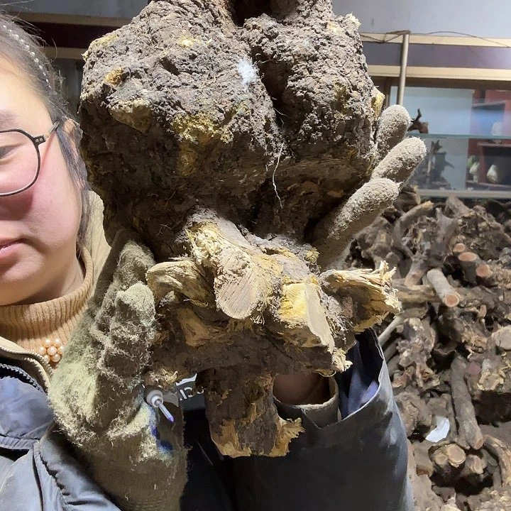 香榧木农****砖火琉璃的故事毛料吧，料