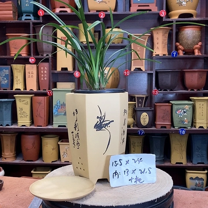 紫砂花盆紫砂花盆