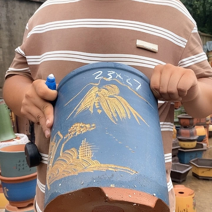 紫砂花盆盆栽植物