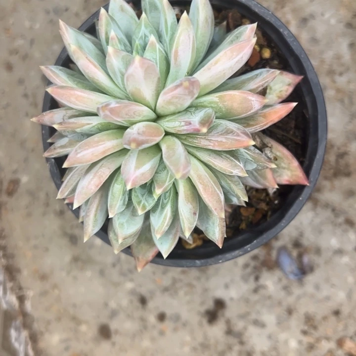 69////=///////////=//=/