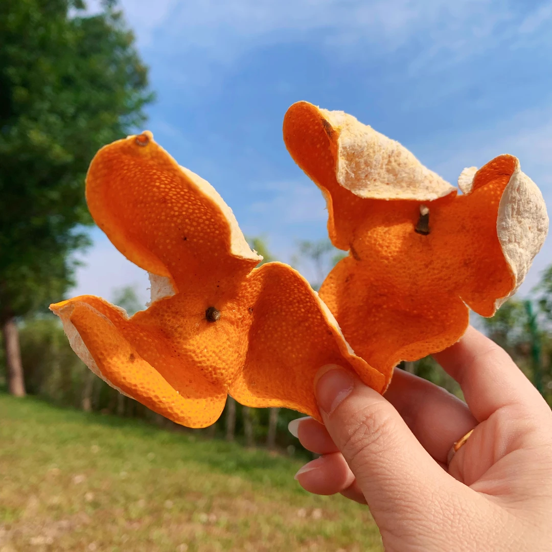 《新会三江产区》2024大红柑皮大红皮圈枝柑皮自然生晒干仓陈化