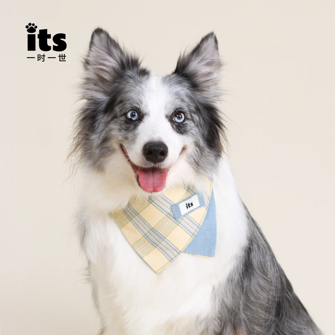 its一时一世宠物口水巾狗狗三角巾猫咪围脖装饰狗狗口水巾大型犬