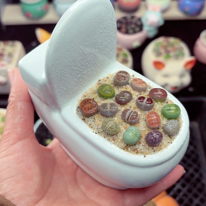 510零下地区记得拍保温箱