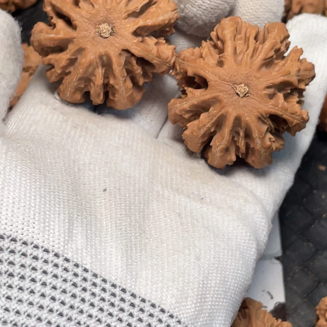 张***、把件桃核9 秦岭野生小众灯笼