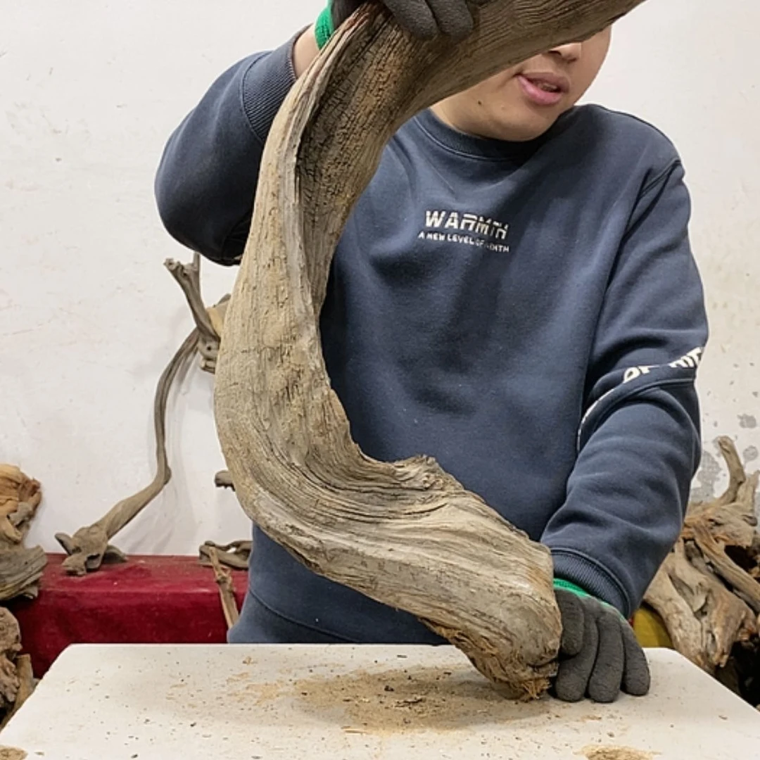 【闪购商品】柏木阿****装我们都是好孩子