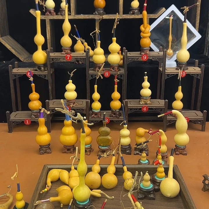 M***k葫芦笙等乐器的演奏和