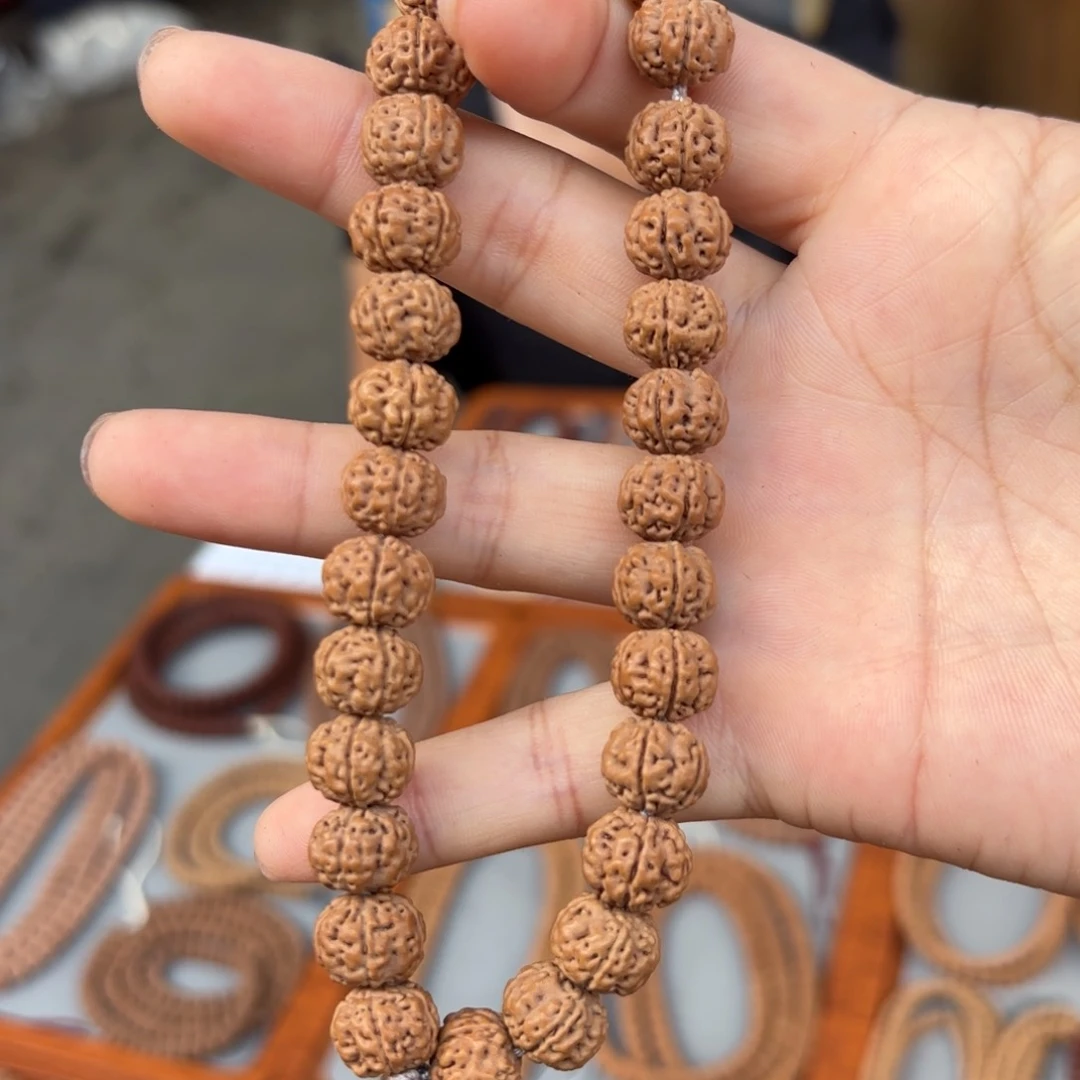 ?****?10树王手持全品精选